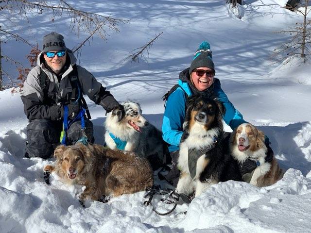 A photograph of two people and four Australian Shepherds in the snow.